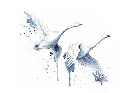 Pair Of Swans In Flight - Delicate Watercolor Painting - Bird Wildlife Art Print Poster by Sina Irani