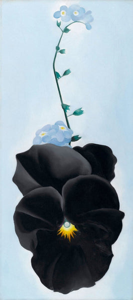 Pansy - 1926 - Georgia O'Keeffe - Canvas Prints