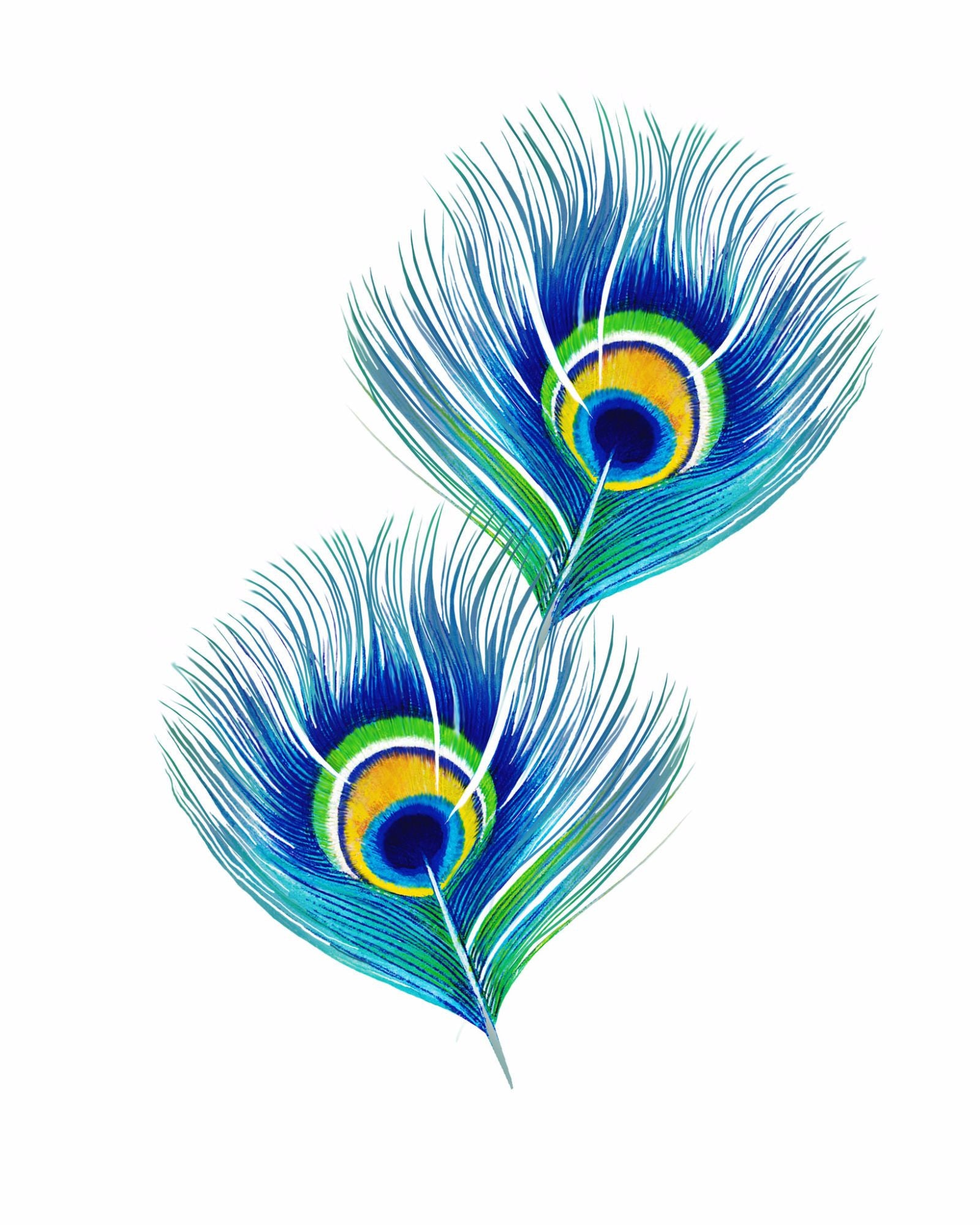 Blue Peacock Feather canvas - TenStickers