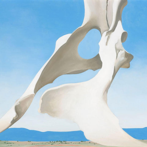 Pelvis With The Distance - Georgia O'Keefe - Framed Prints