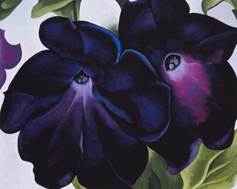 Petunias - Large Art Prints by Georgia OKeeffe