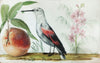 Birds and Fruit - Framed Prints