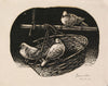 Pigeons - Haren Das - Bengal School Art Woodcut Painting - Canvas Prints