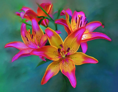 Pink Lilies in a Garden - Posters by Michael Pierre