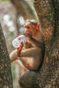 Playful Monkey - Canvas Prints