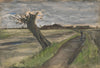 Pollard Willow - Vincent Van Gogh - Large Art Prints