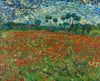 Poppy Field - Canvas Prints