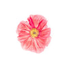 Pink Poppy Flower - Canvas Prints