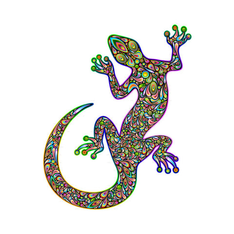 Psychedelic Art - Lizard King by Christopher Noel