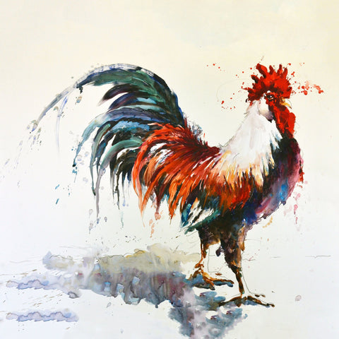Puffed Up Rooster - Large Art Prints by Sean