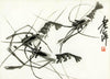 Shrimps (Crevettes) - Qi Baishi - Framed Prints