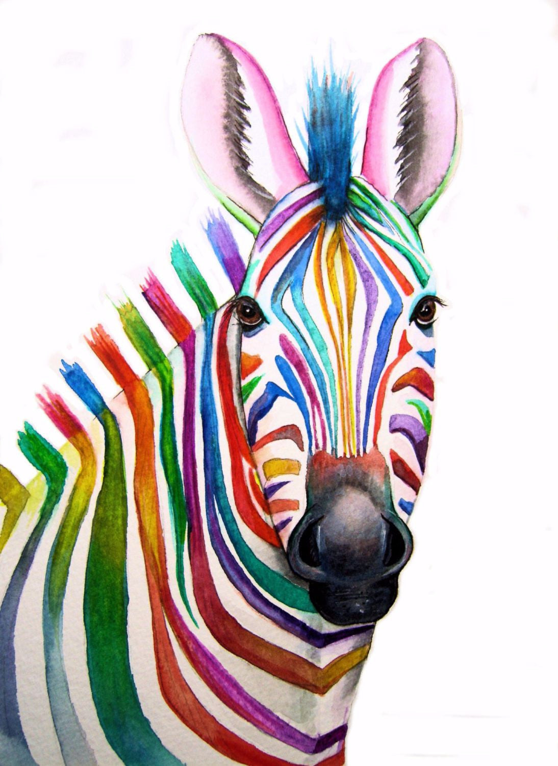 Rainbow Zebra - Art Prints