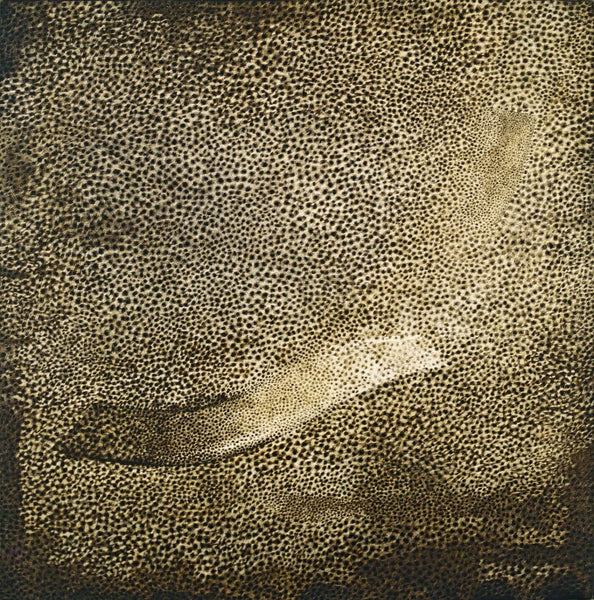 Rameshawar Broota - Traces Of Man - Canvas Prints