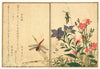 Red Dragonfly (Akatonbo); Locust (Inago) - Kitagawa Utamaro - Japanese Ukiyo-e Woodblock Print Art Painting - Art Prints