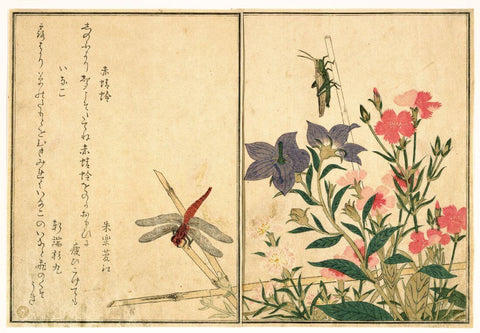 Red Dragonfly (Akatonbo); Locust (Inago) - Kitagawa Utamaro - Japanese Ukiyo-e Woodblock Print Art Painting - Posters