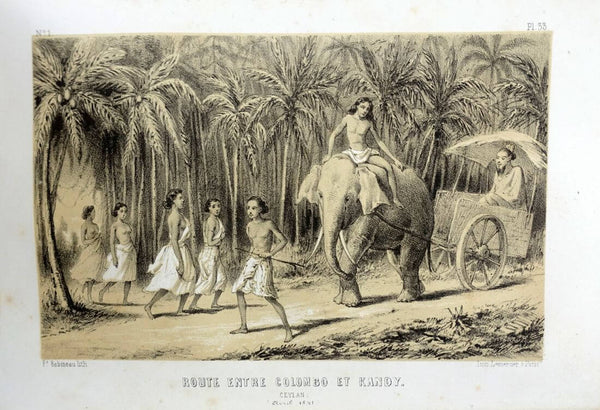 Road Between Colombo And Kandy (Sri Lanka) - Prince Alexis Dmitievich Soltykoff - Voyages Dans l'inde - Lithograpic Print – Orientalist Art Painting - Framed Prints
