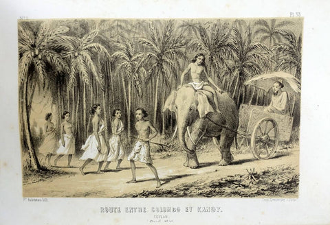 Road Between Colombo And Kandy (Sri Lanka) - Prince Alexis Dmitievich Soltykoff - Voyages Dans l'inde - Lithograpic Print – Orientalist Art Painting - Framed Prints