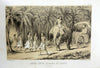 Road Between Colombo And Kandy (Sri Lanka) - Prince Alexis Dmitievich Soltykoff - Voyages Dans l'inde - Lithograpic Print – Orientalist Art Painting - Framed Prints