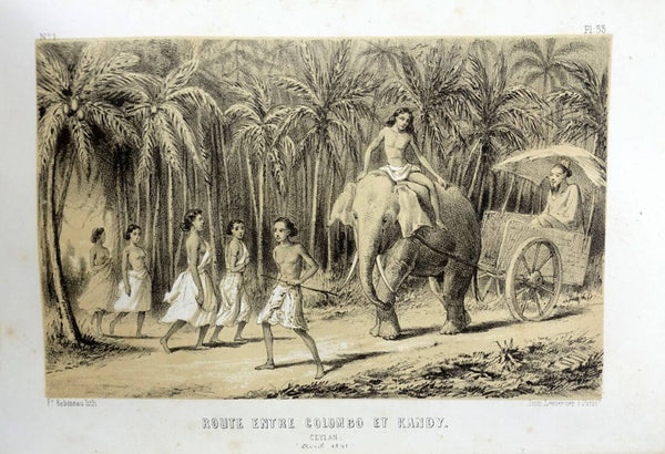 Road Between Colombo And Kandy (Sri Lanka) - Prince Alexis Dmitievich Soltykoff - Voyages Dans l'inde - Lithograpic Print – Orientalist Art Painting - Posters