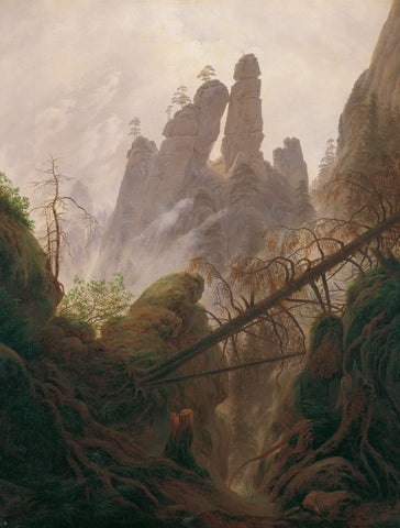 Rocky ravine in the Elbe Sandstone Mountains - Art Prints