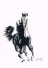 Running Horse - Art Prints