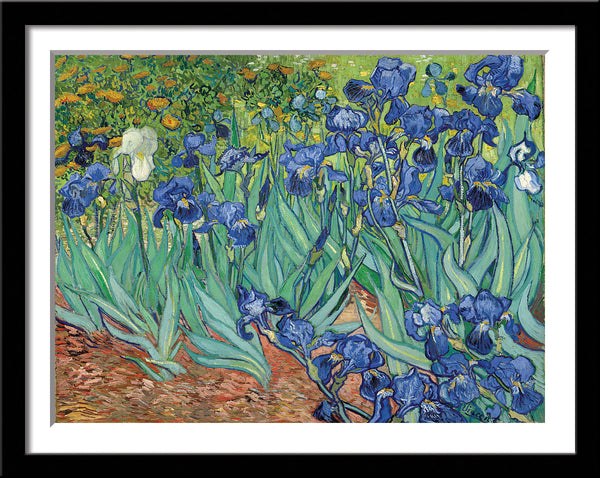 Best Of Vincent van Gogh Paintings (Vol 2) - Set of 10 Framed Poster Paper - (12 x 17 inches)each