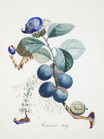 Fruit Series - Blueberries By Salvador Dali - Canvas Prints
