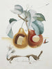Fruit Series - Pierced Fruits (Fruits-troués) By Salvador Dali - Framed Prints