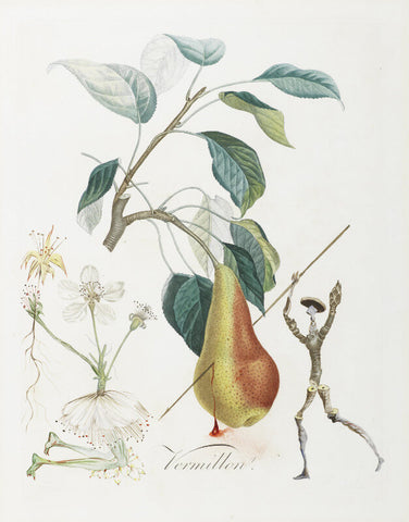 Fruit Series - Vermillion Pear By Salvador Dali by Salvador Dali