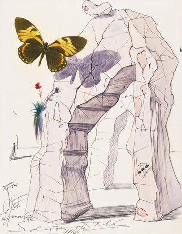 Untitled ( Butterfly) By Salvador Dali by Salvador Dali
