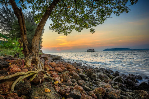 Seaside View by Terry Griffin