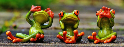 See No Evil, Hear No Evil, Speak No Evil - Red Eyed Tree Frogs - Canvas Prints by Animal Artworks