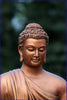 Serene Buddha - Life Size Posters