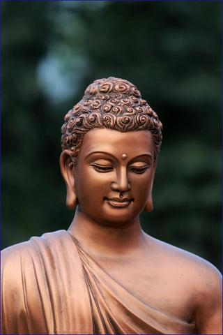 Serene Buddha by Anzai