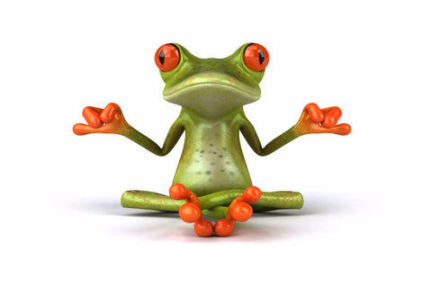 Smiling Frog - Framed Prints by Eleena Noel