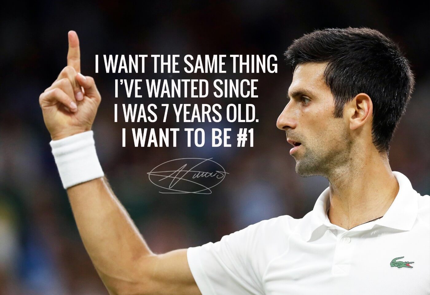 Novak djokovic shop online new arrivals