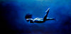 Spirit Of Sports - Painting - Swimming In The Deep - Art Prints