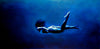 Spirit Of Sports - Painting - Swimming In The Deep - Canvas Prints