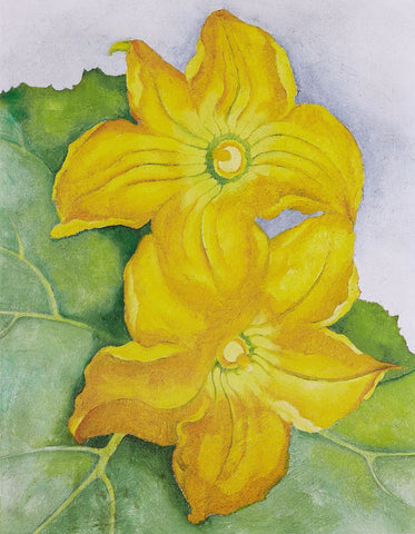 Squash Blossoms by Georgia OKeeffe