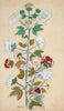 Sthala Padma - Benode Behari Mukherjee - Bengal School Indian Painting - Canvas Prints
