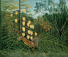 Struggle Between Tiger And Bull In A Tropical Forest - Henri Rousseau Painting - Canvas Prints