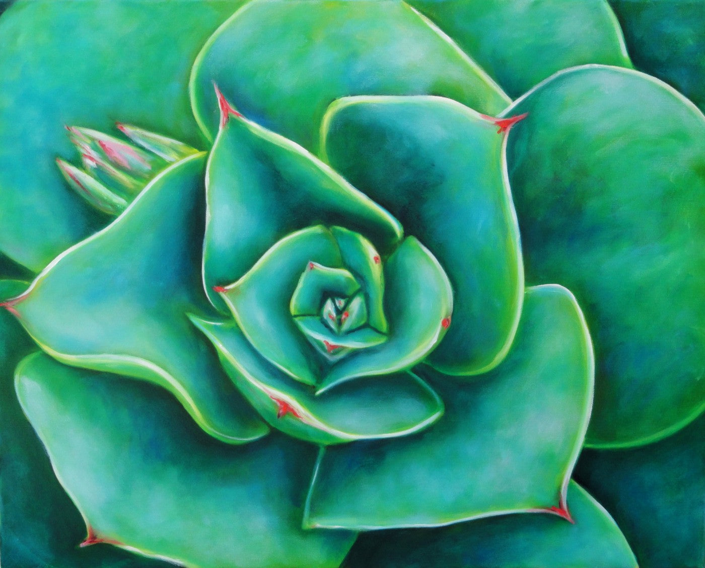 succulence Succulence by Sam Mitchell | Buy Posters, Frames, Canvas & Digital Art  Prints