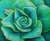 Succulence - Life Size Posters