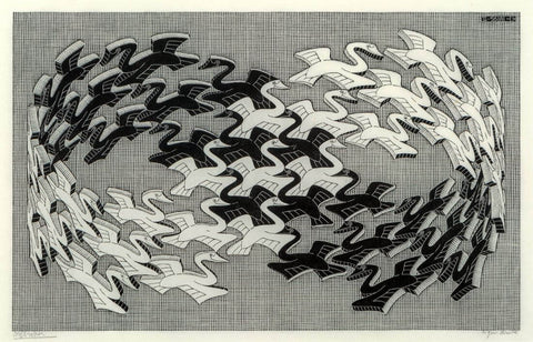 Swans - M C Escher - Posters