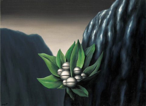 The Flowers of the Abyss (Les Fleurs de Labime) – René Magritte Painting – Surrealist Art Painting by Rene Magritte