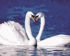 Swan Love - Large Art Prints