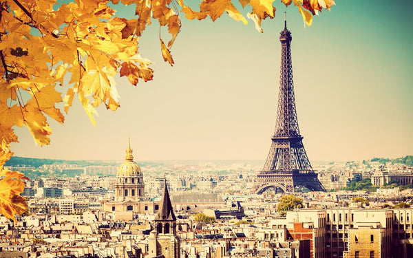 Autumn in Paris with Eiffel Tower - Framed Prints