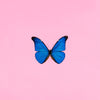 Modern Art - Blue Butterfly Against Pink Background - Canvas Prints