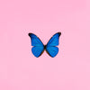 Modern Art - Blue Butterfly Against Pink Background - Framed Prints