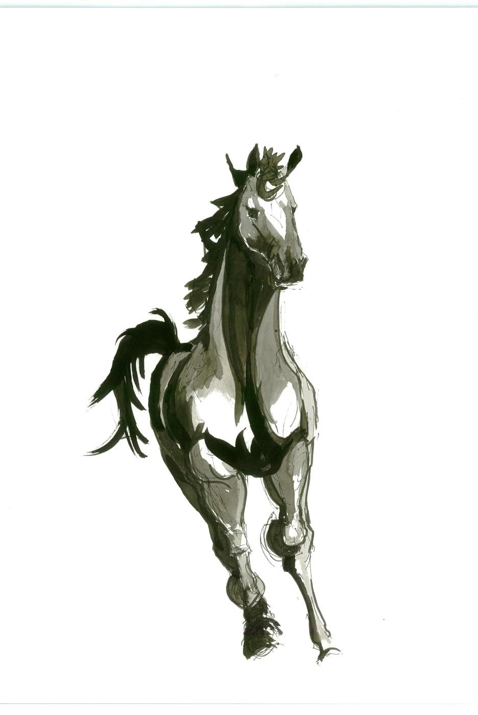 Running Horse Stock Illustrations – 18,659 Running Horse Stock  Illustrations, Vectors & Clipart - Dreamstime